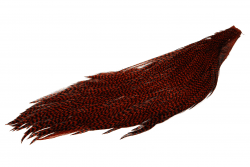 Hareline Halv Tuppnacke Grizzly Brown